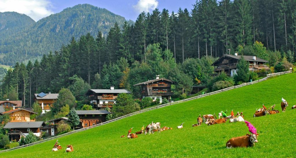 Ferienhaeuser Reither Almen Reith im Alpbachtal Room photo